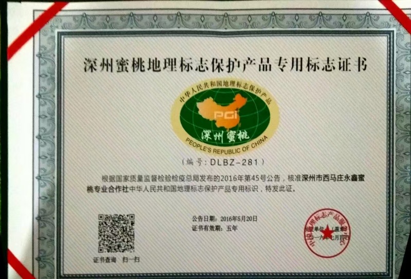 深州蜜桃