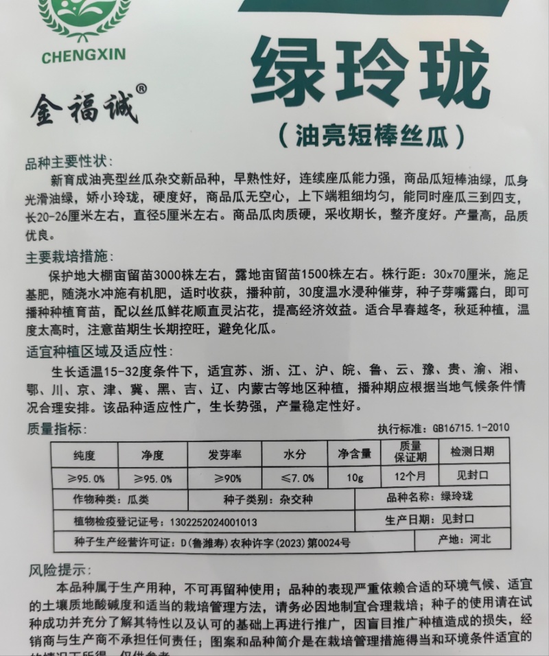 油皮短丝瓜苗中绿丝瓜苗，抗病毒能力强苗厂直发