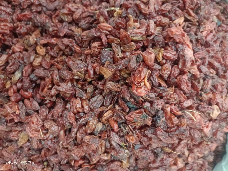 枣皮，优质山茱萸上千种药材批发，专注做中药多年