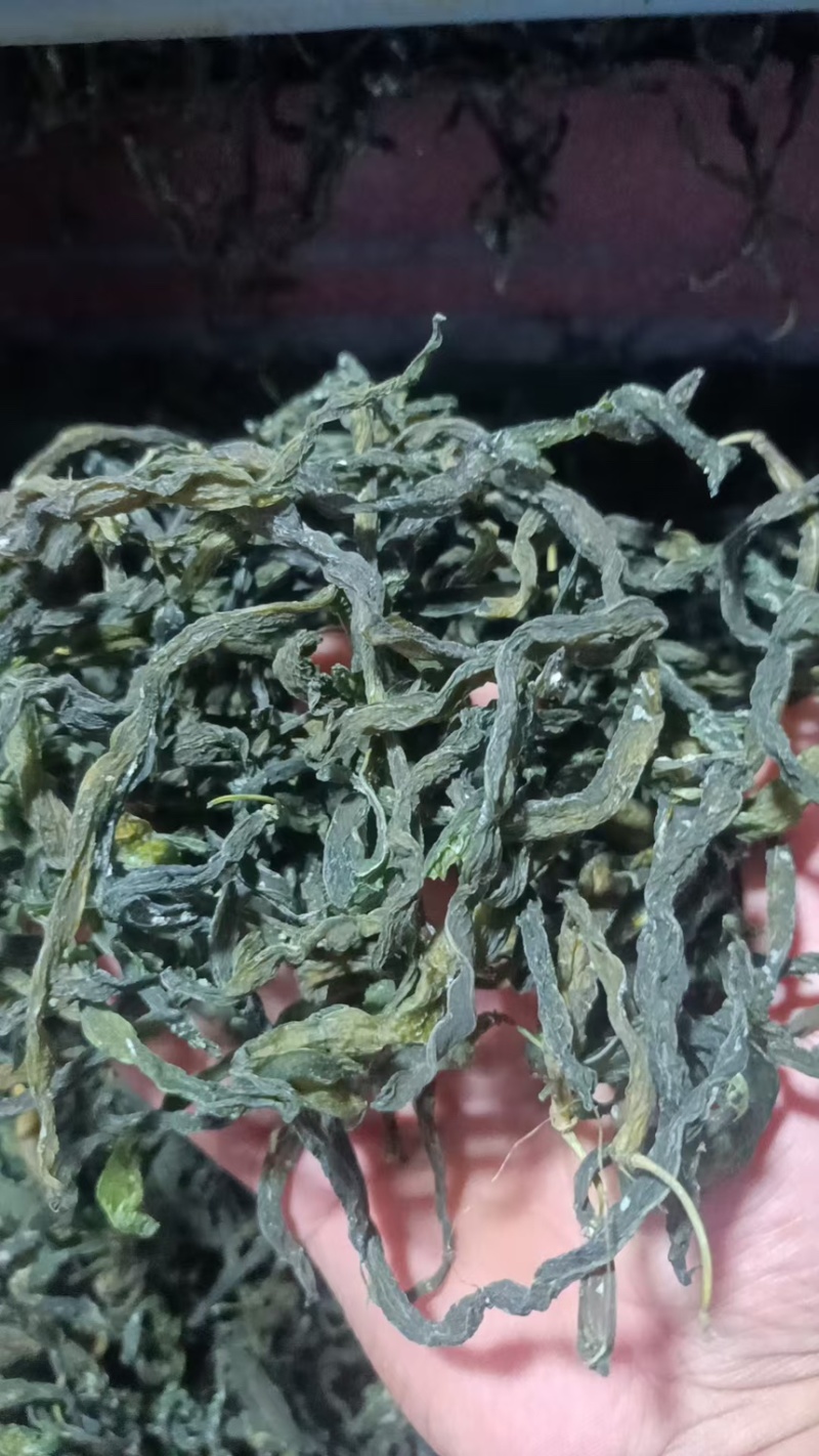 干豆角架豆王