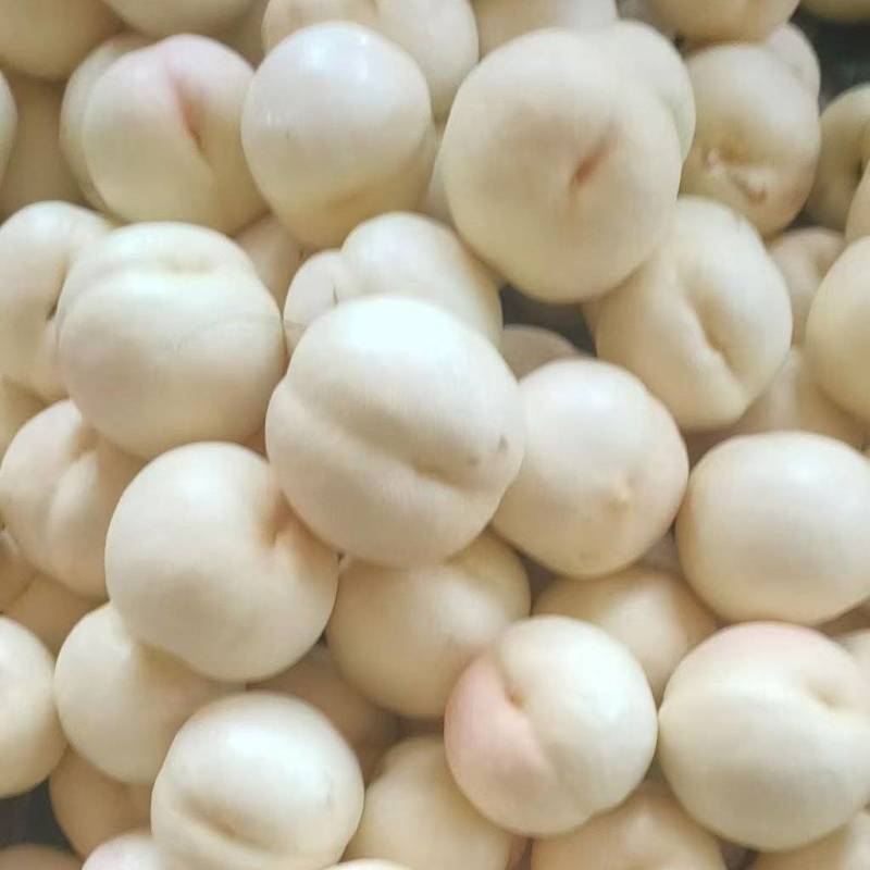 白桃，产地直供保质保量量大从优价格优惠欢迎看货