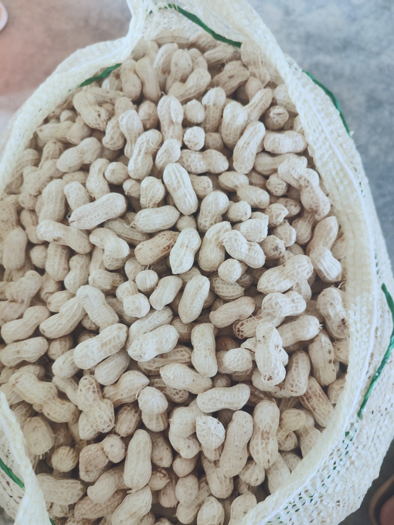 二粒红大量上市了，需要的提前联系