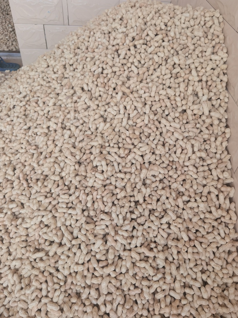 二粒红大量上市了，需要的提前联系