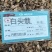 白头翁