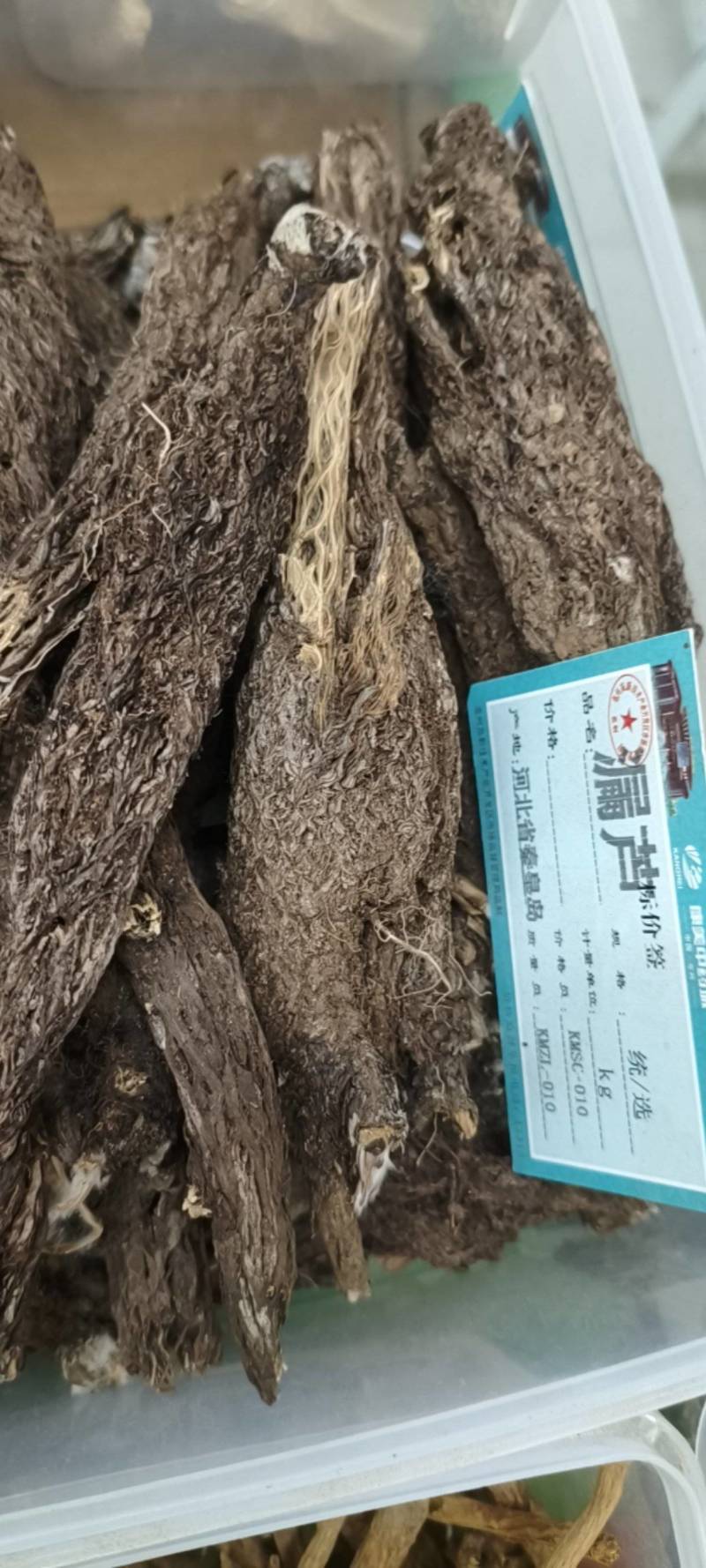 漏芦