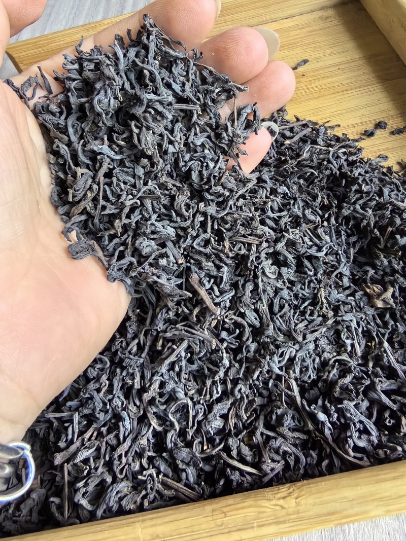 老茶友的宠儿