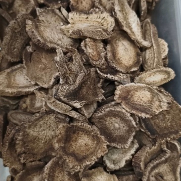 木香