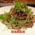 品名：鸡油卤筋丝（黑豆丝）规格