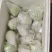 精品红心芭乐一件代发社区团购代办商超供应链欢迎咨询
