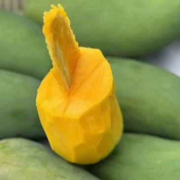 丽江芒果