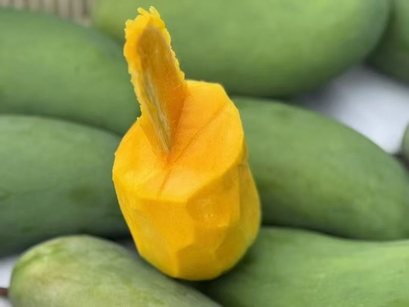 丽江芒果