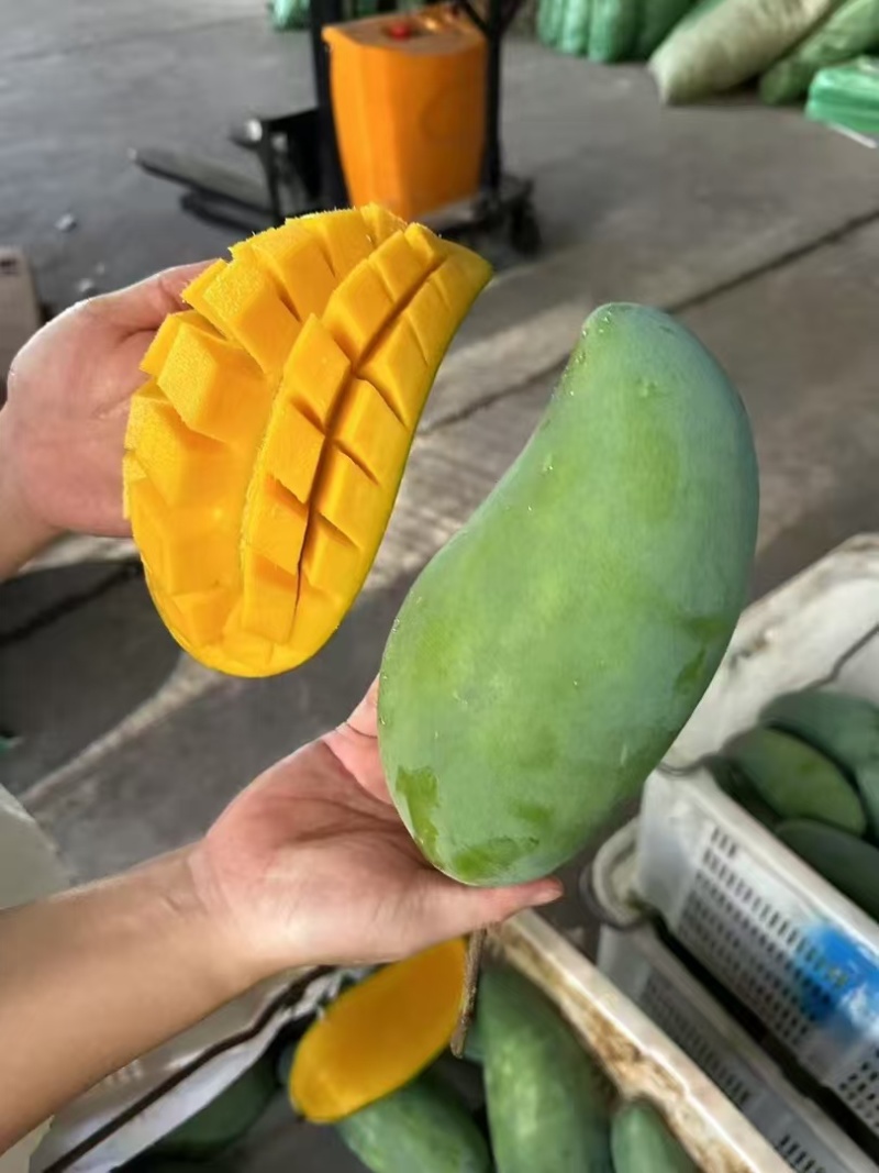 丽江芒果