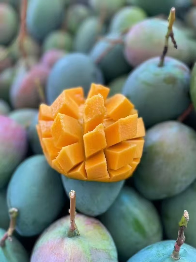 丽江芒果