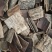杜仲