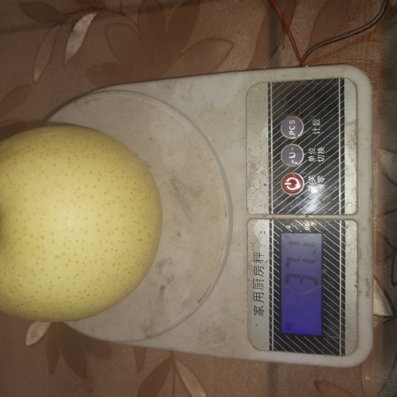 黄冠梨