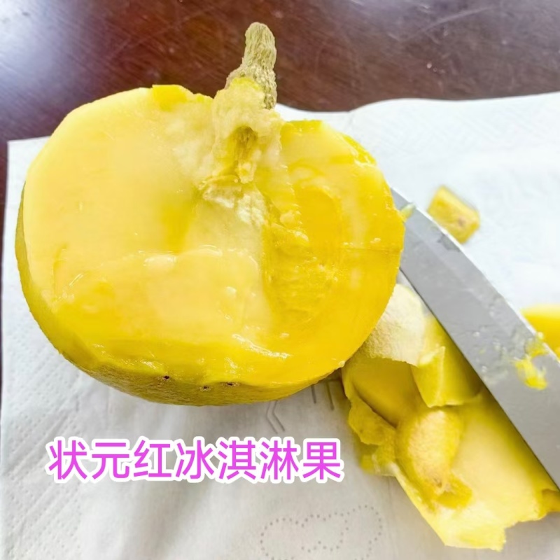 冰淇淋果金四季状元红