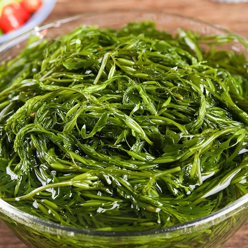 新鲜鞭炮笋盐渍马尾藻5斤（餐饮商用批发）