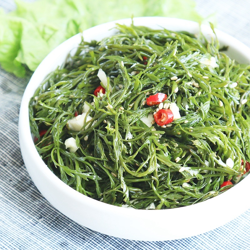 新鲜鞭炮笋盐渍马尾藻5斤（餐饮商用批发）