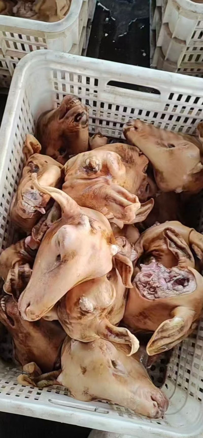 新鲜全套羊杂精品羊杂现货供应厂家发货货量充足