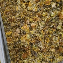 旋覆花