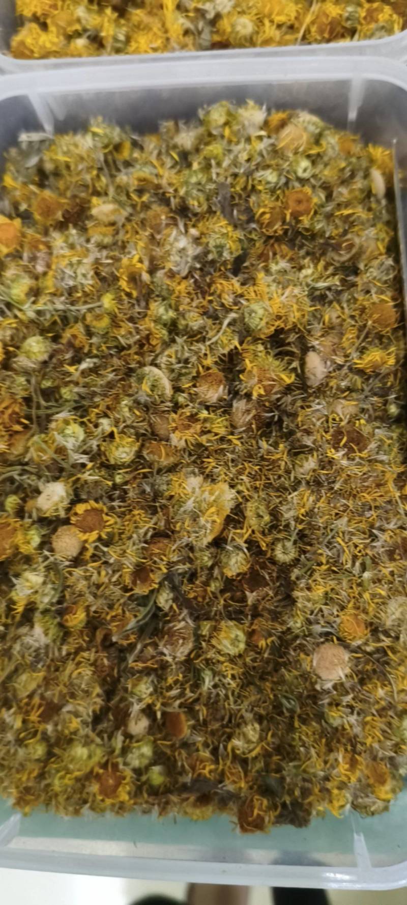 旋覆花