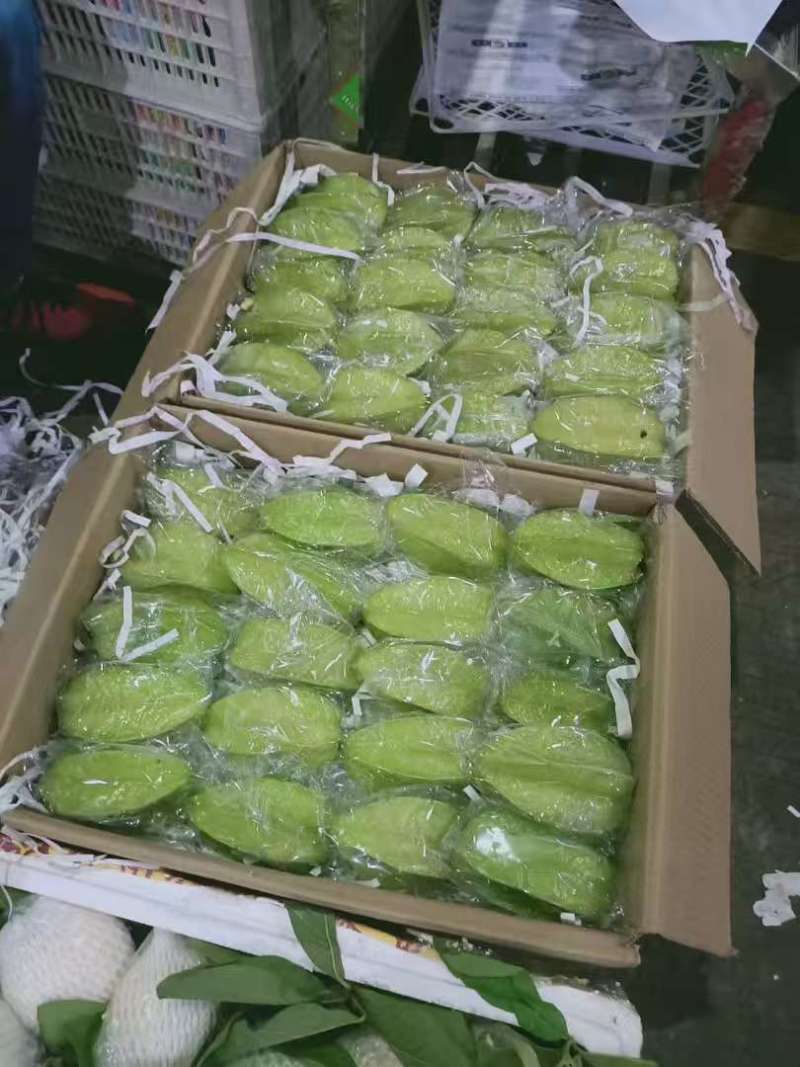 杨桃红杨桃品质保证支持视频看货选货量大从优