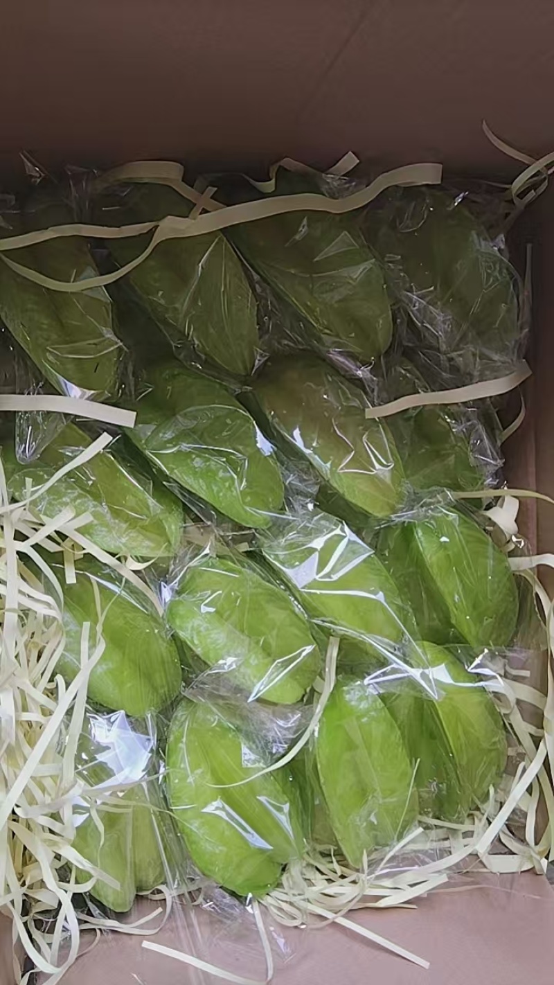 杨桃红杨桃品质保证支持视频看货选货量大从优