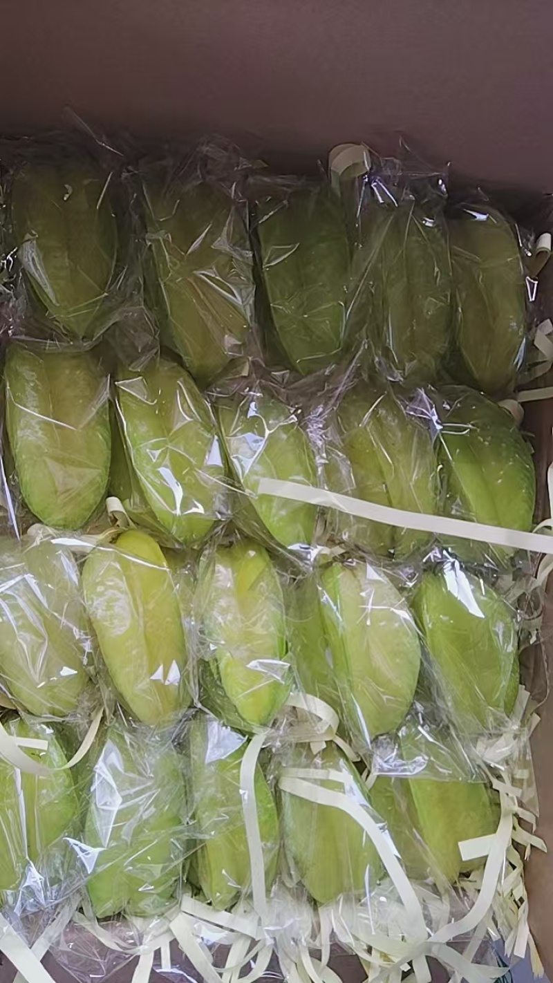 杨桃红杨桃品质保证支持视频看货选货量大从优