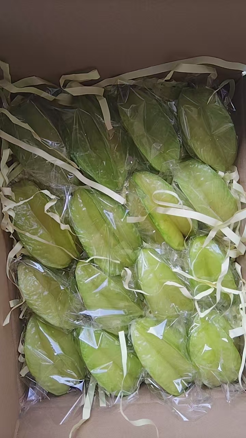 杨桃红杨桃品质保证支持视频看货选货量大从优