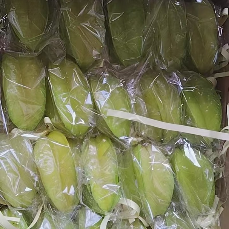 杨桃红杨桃品质保证支持视频看货选货量大从优