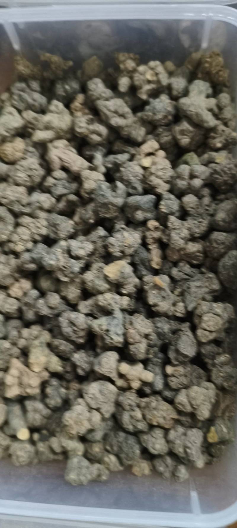 夏天无