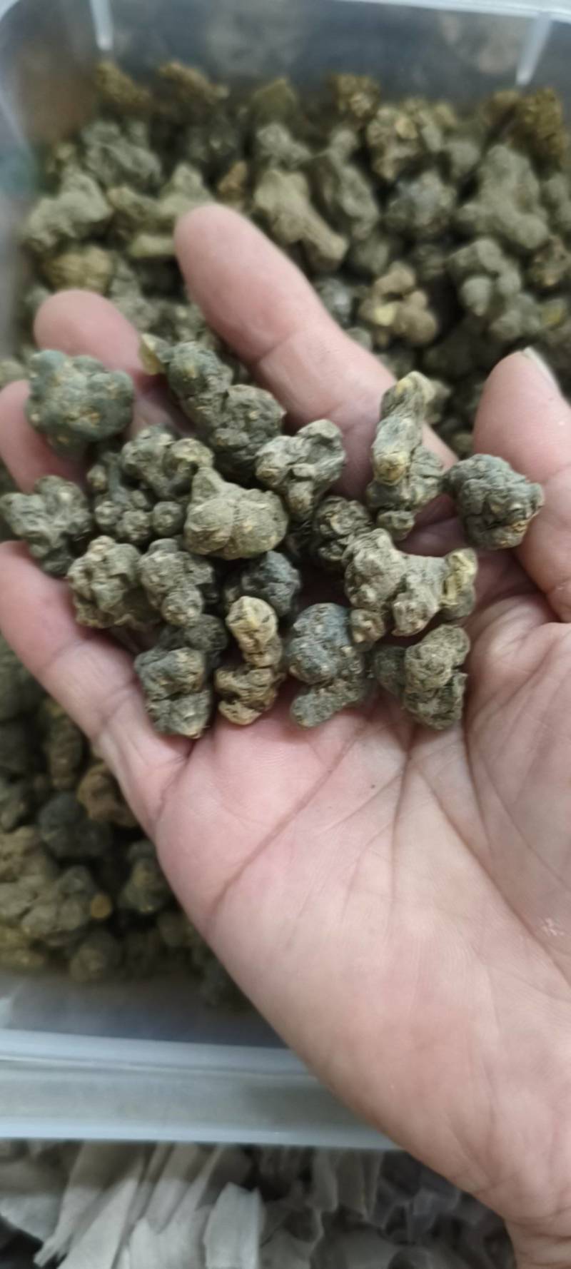 夏天无
