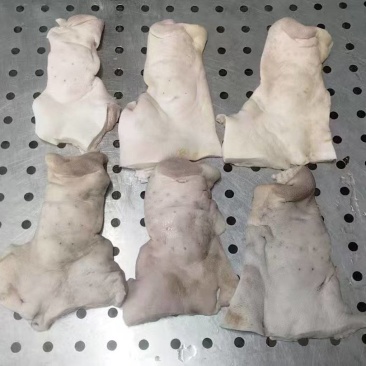 肥猪半鼻