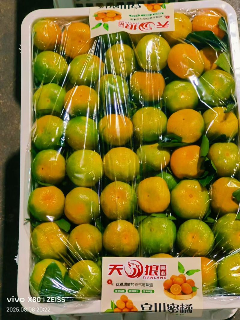 蜜橘云南特早蜜橘产地一手货源对接农户鲜果现采现摘代收代发