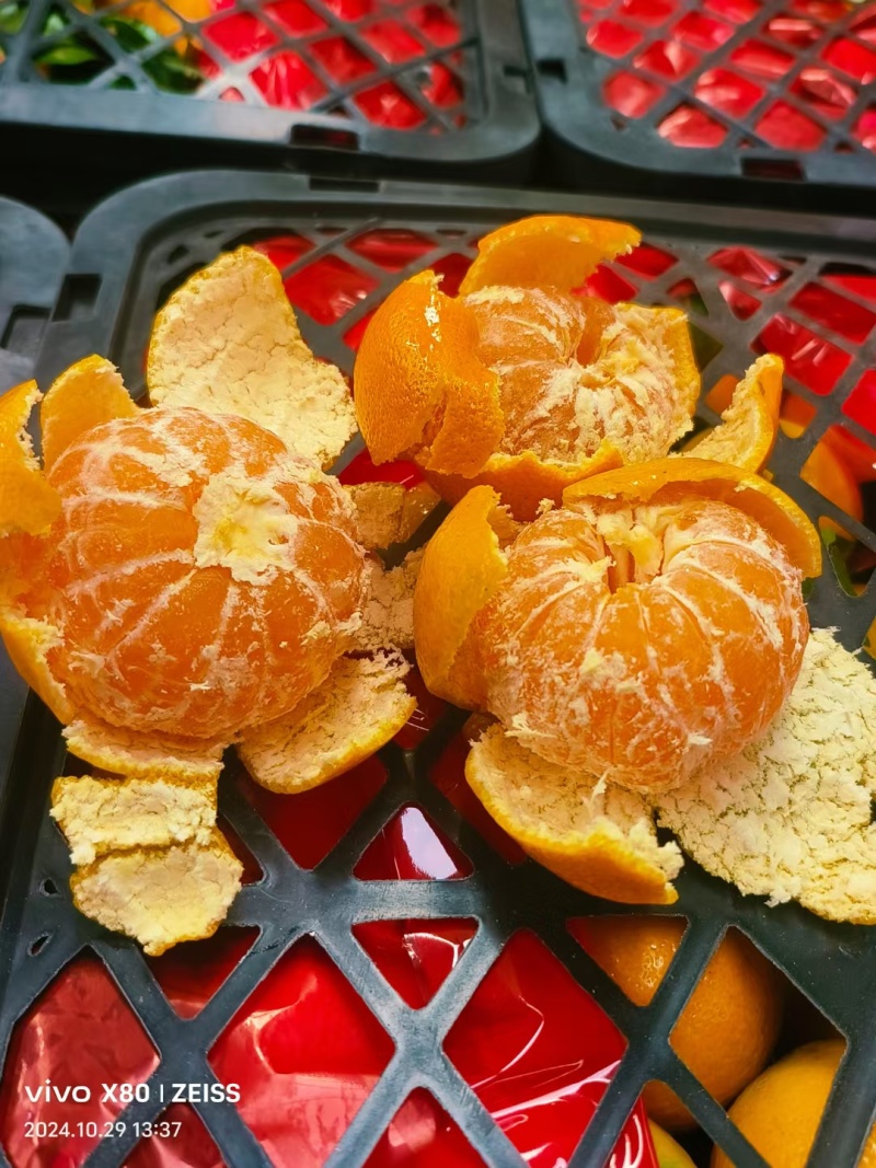 蜜橘云南特早蜜橘产地一手货源对接农户鲜果现采现摘代收代发