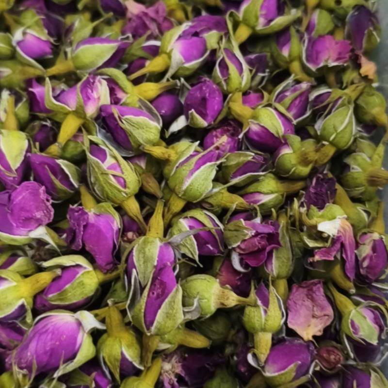 月季花