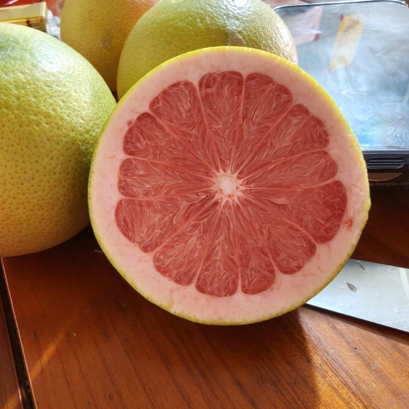 西柚榨汁果切片果商品果都有