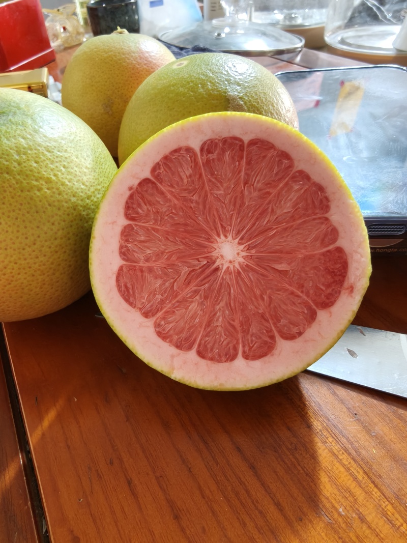 西柚