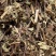 土茵陈【包邮】三斤起发货可批量可零售量大从优