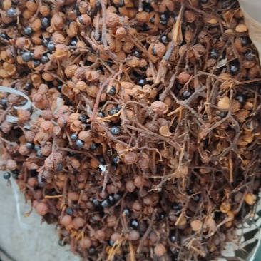 腌花椒