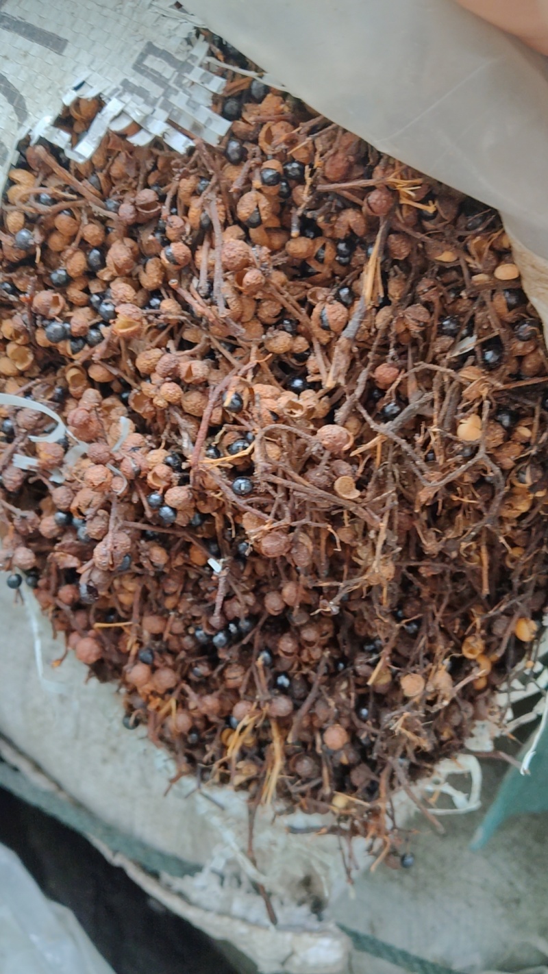 腌花椒