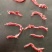 肉丝、肉片