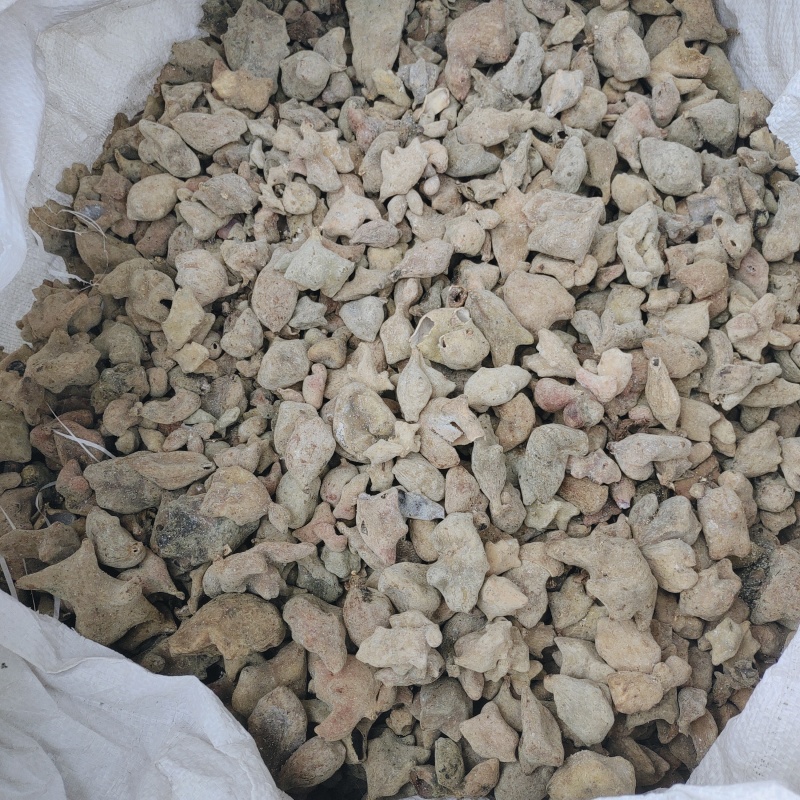 五倍子，花倍无硫过筛，产地货源，保质保量，批发各种药材