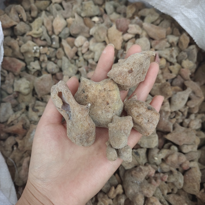 五倍子，花倍无硫过筛，产地货源，保质保量，批发各种药材