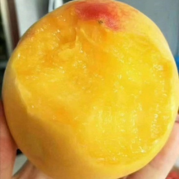 锦绣芒果味