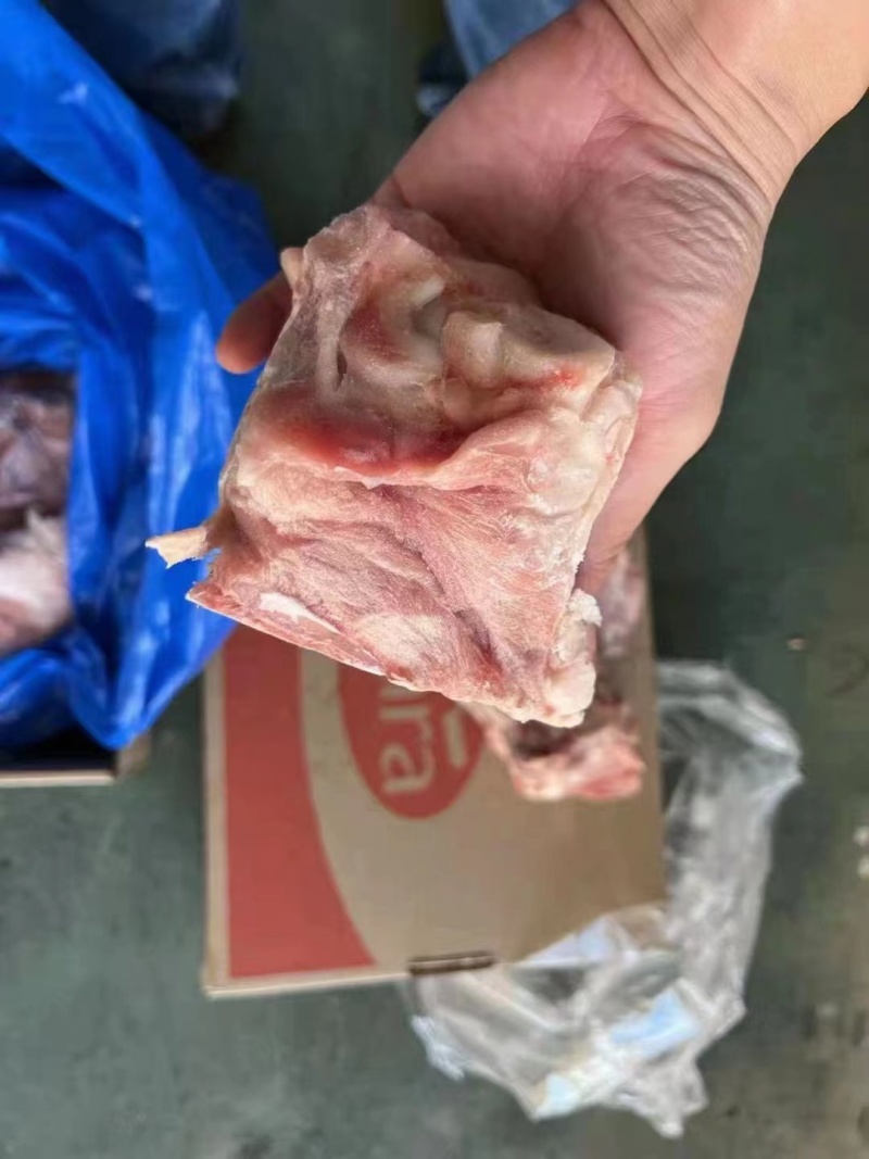 后筒骨
