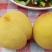锦绣芒果味