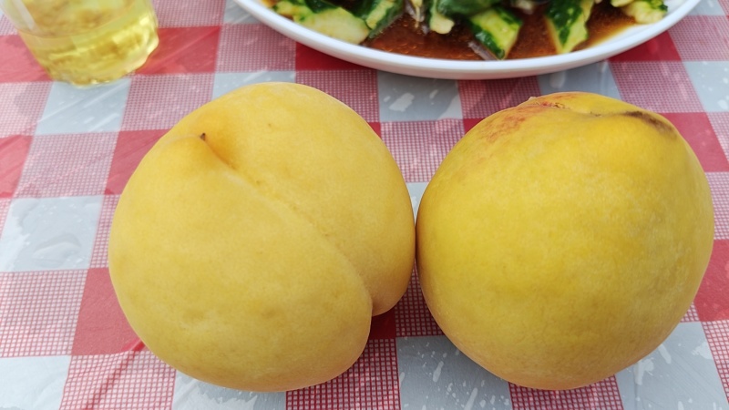 锦绣芒果味