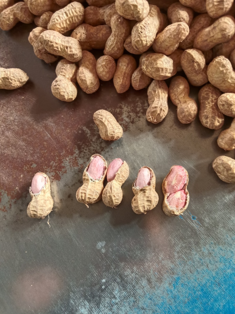 鲁花系列