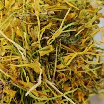 金银花